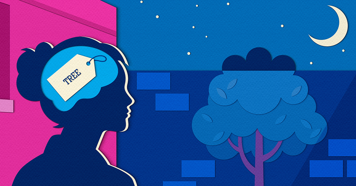 A New Framework for How the Brain Compresses Our Noisy World