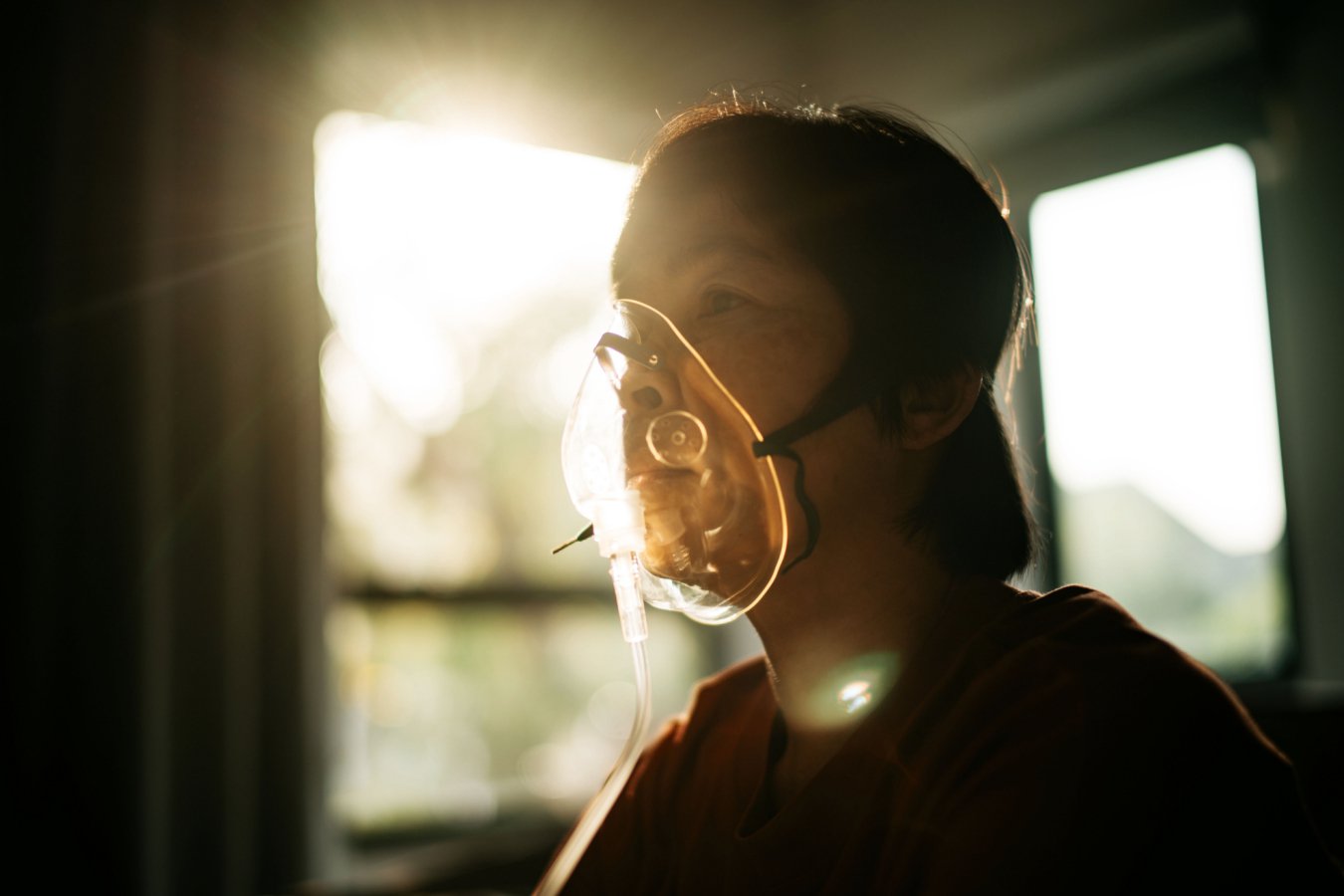 Inhaling high-dose CO2 clears Alzheimer’s proteins from the brain