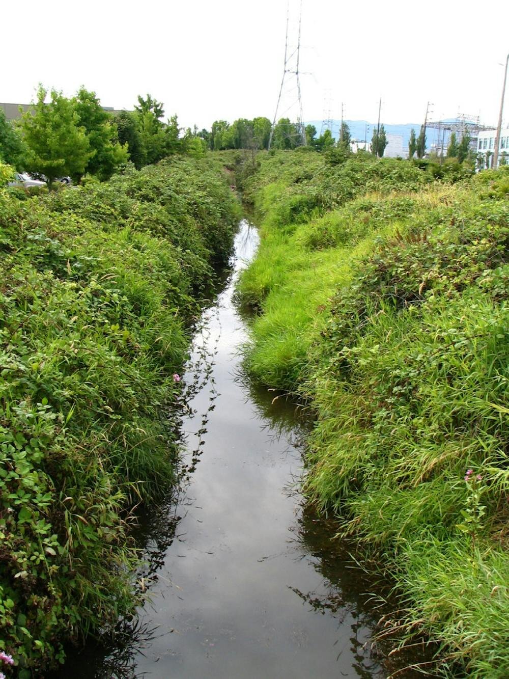 Many cities buried urban streams. Here's how to bring them back