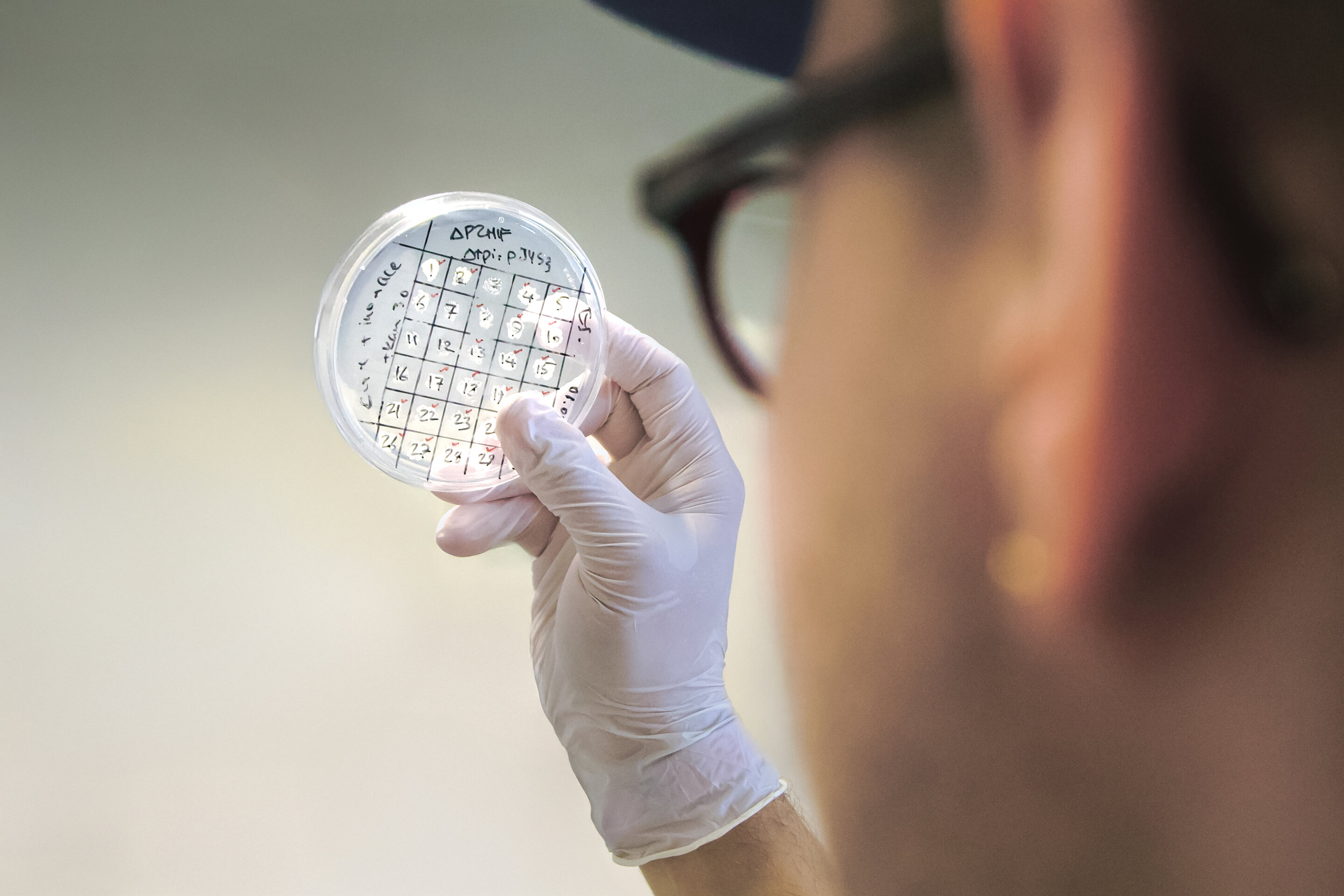 Making climate-neutral plastics and cosmetics using bacteria