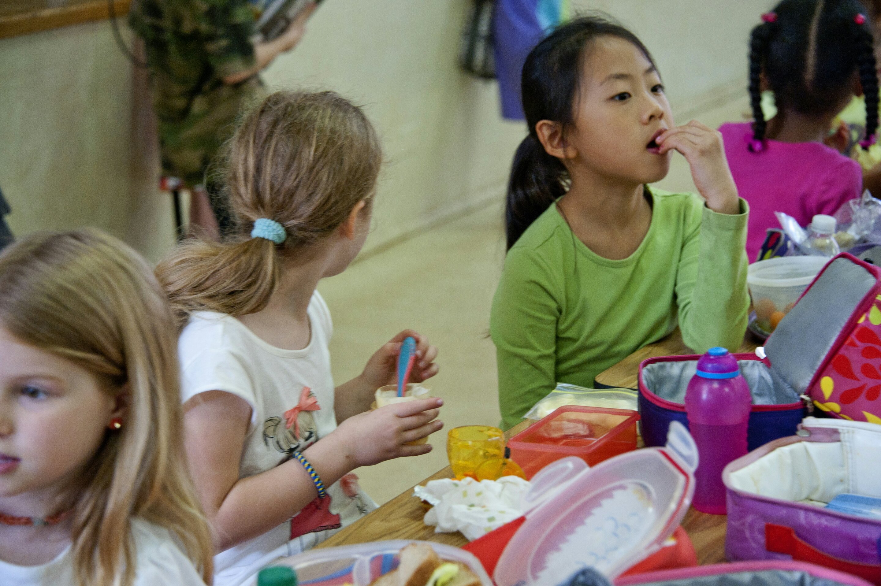 How animal identifiability affects children's food choices